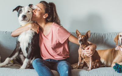 What Is Holistic Pet Care?