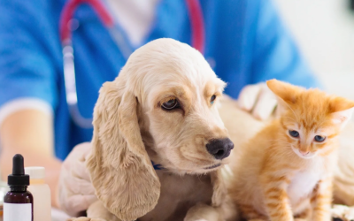 What Are Nosodes? A Gentle Vaccine Alternative Explained