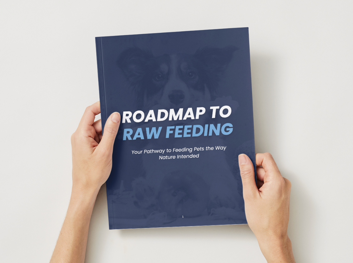 Roadmap to Raw Feeding for Dogs